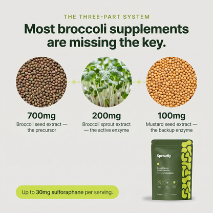 HerbHealth Broccoli Sprout Extract